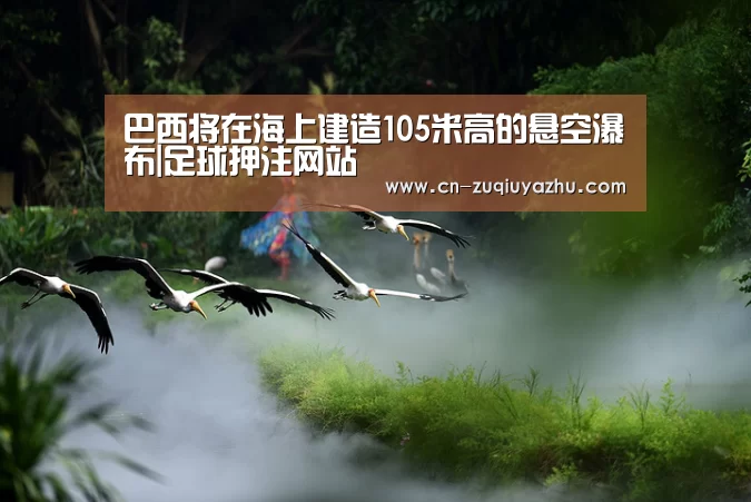 巴西将在海上建造105米高的悬空瀑布|足球押注网站(图4) 足球下注平台